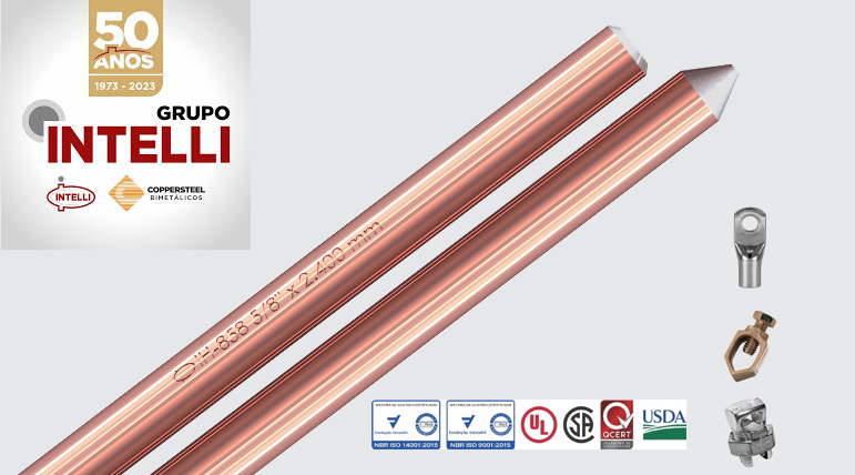 Grupo Intelli